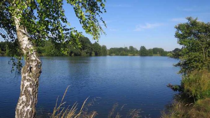 Am WiesenSee in Cloppenburg